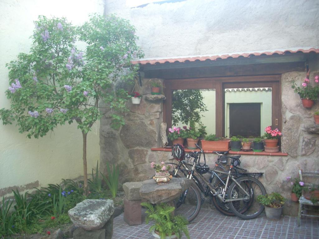 Oschiri Sa Rosa E Su Trapperi Bed & Breakfast エクステリア 写真