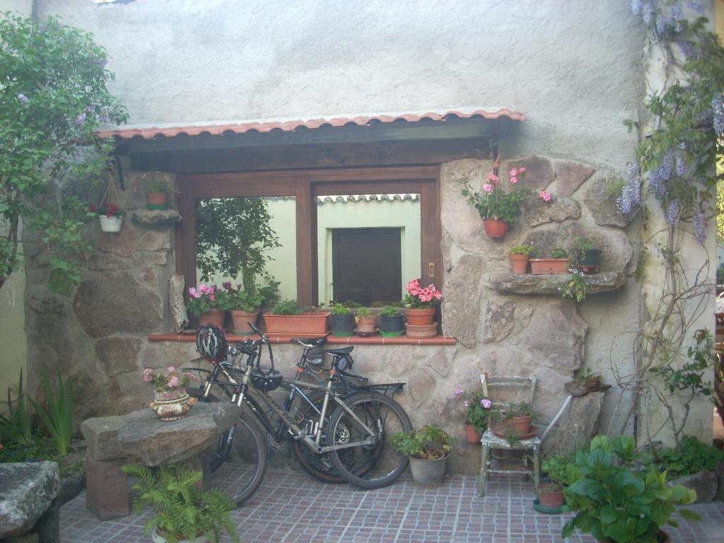 Oschiri Sa Rosa E Su Trapperi Bed & Breakfast エクステリア 写真